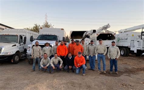 city of sacramento tree removal.